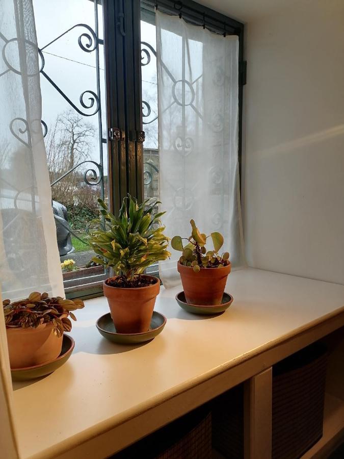 Gite La Maison La Saint-Aubin-d'Aubigne エクステリア 写真